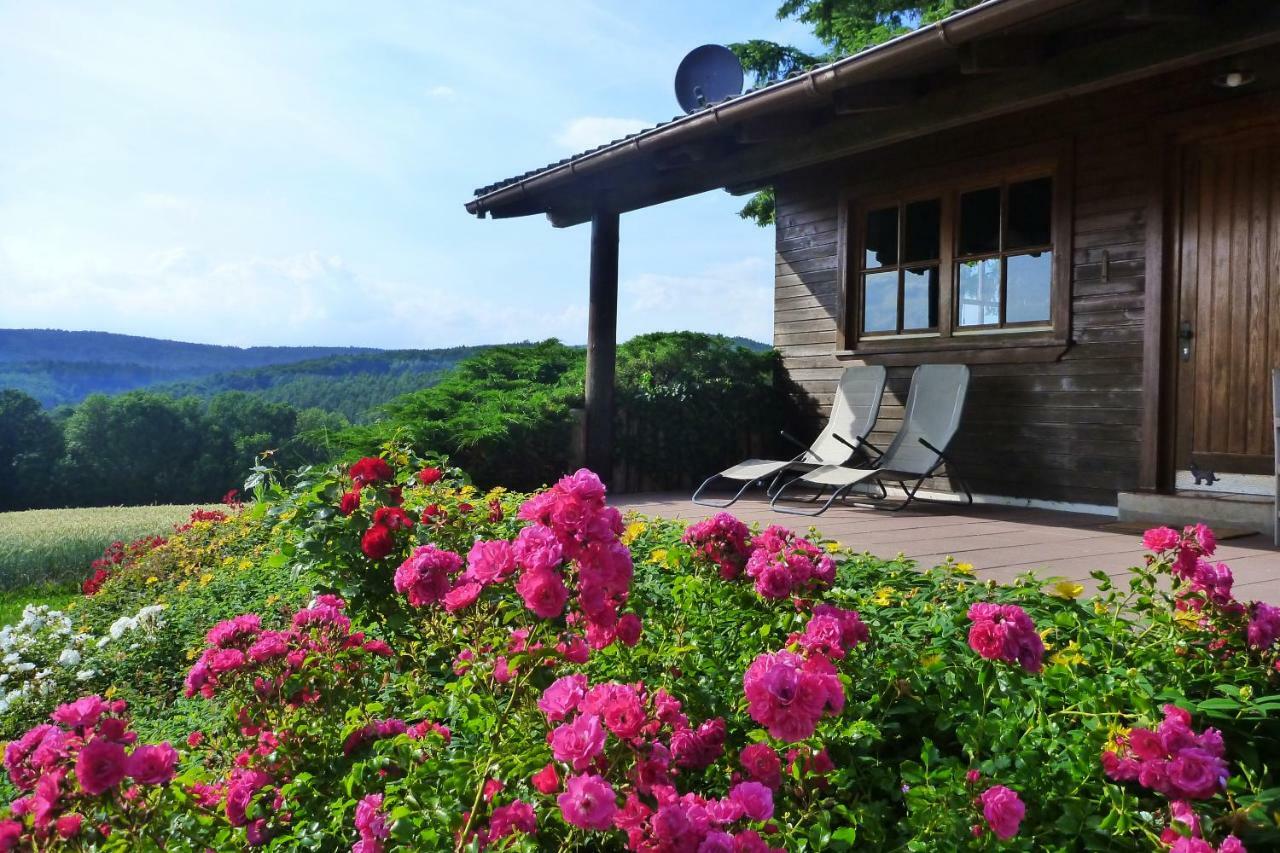 Villa Ellernhof im Spessart Stadtprozelten Exterior foto